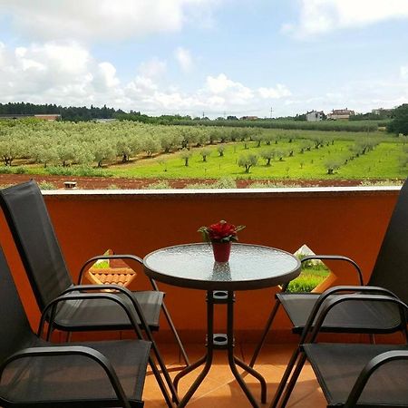 Appartamento The Orange One Novigrad Istria Esterno foto