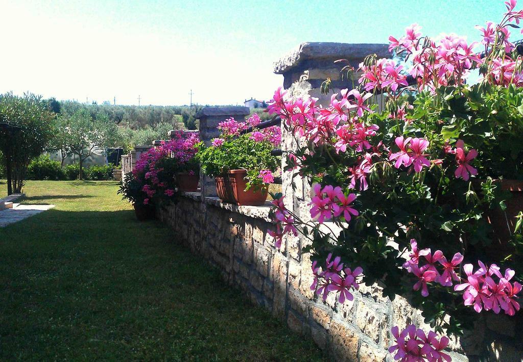 Appartamento The Orange One Novigrad Istria Camera foto