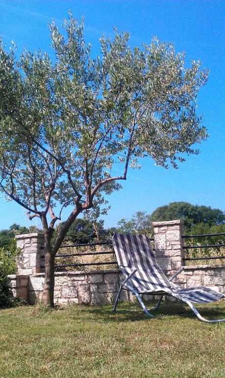 Appartamento The Orange One Novigrad Istria Camera foto